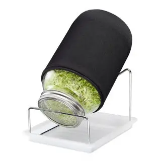 2000 Ml Sprouting Jar – Single-Glass Stainless Steel Growing Vessel 1