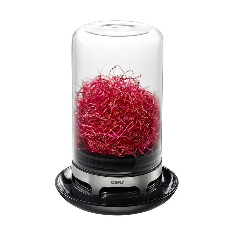 Bivita Dual-Compartment Sprouting Jar 1