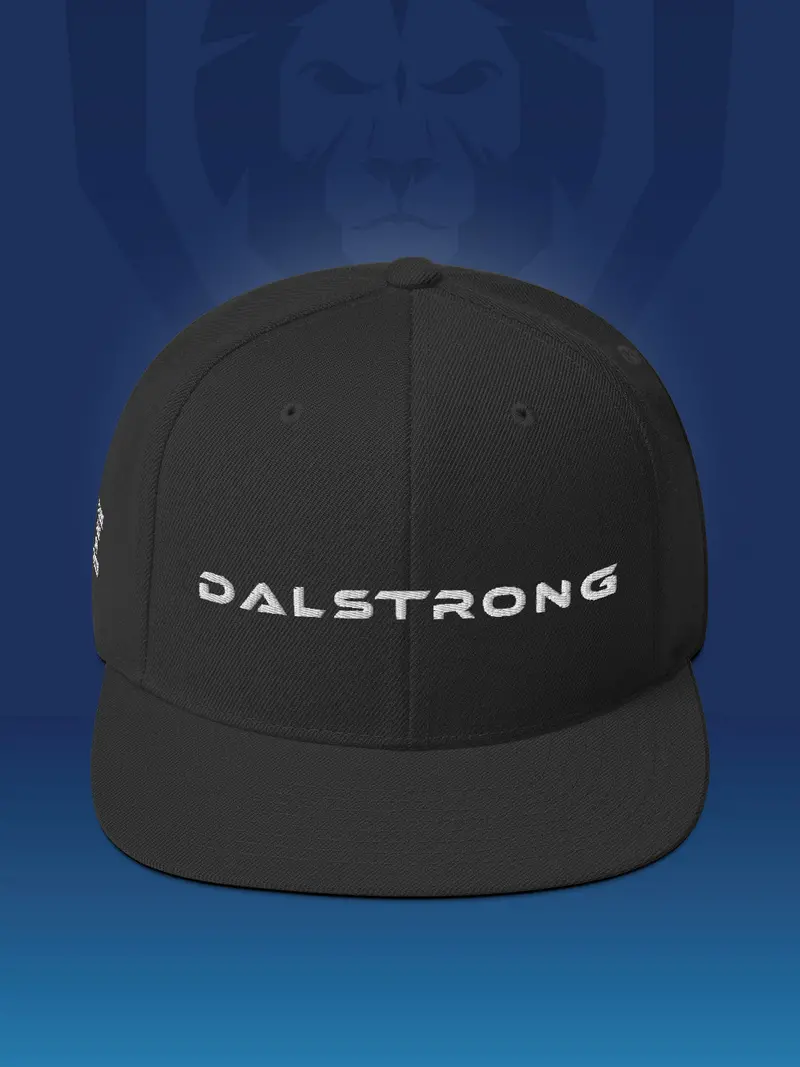 Front-To-Back Logo Snapback Hat | Dalstrong Casual Wear 1