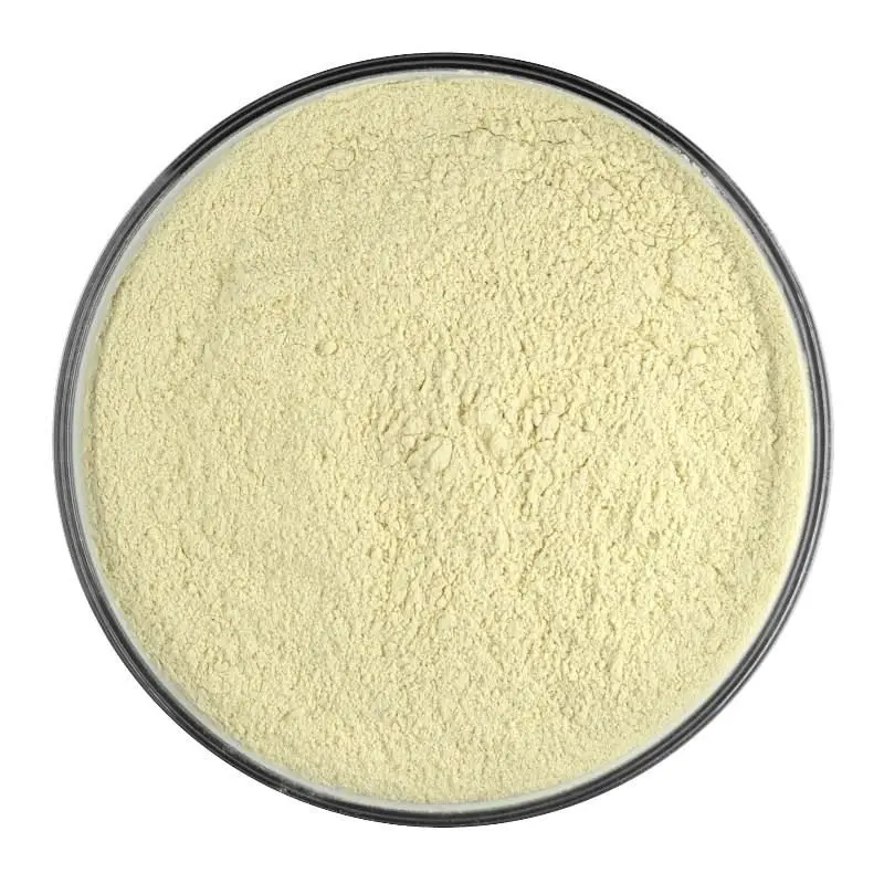Organic Onion Powder – 60G Natural Seasoning 1
