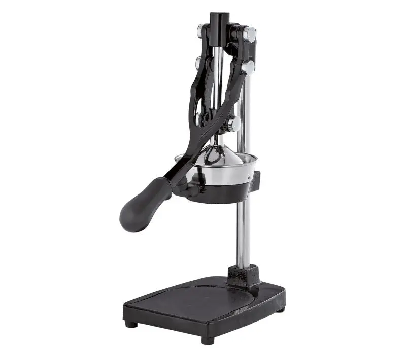 Professional Black Pomegranate Press 1