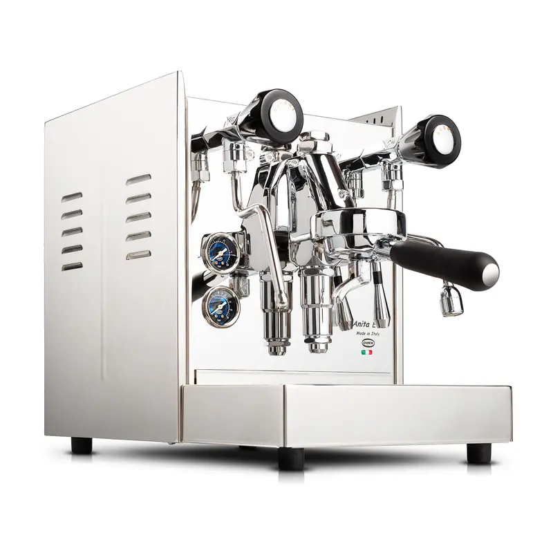 Quick Mill Anita Evo Entry-Level Espresso Machine 1
